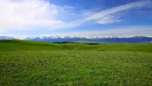 如何开网店 怎样开网店的详细步骤教学视频全集