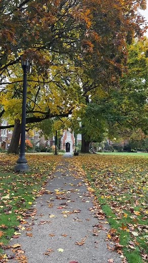 2.4K views · 111 reactions | Hello, November 罹癩 #reedcollege #reed #lovereed | Reed College | Facebook