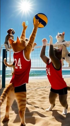### The Epic Volleyball Showdown: Red Cats vs. White Cats