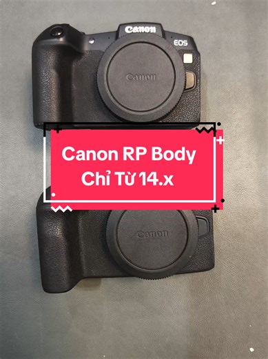 Canon RP Camera Review for Beginners