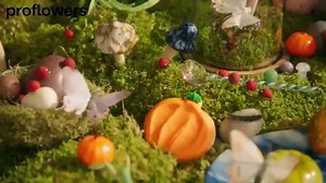 ProFlowers TV Spot, 'Guide to Finding Your Fall Flavor'