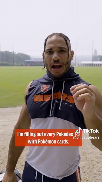 Chicago Bears Fans Share Their Non-Football Obsessions