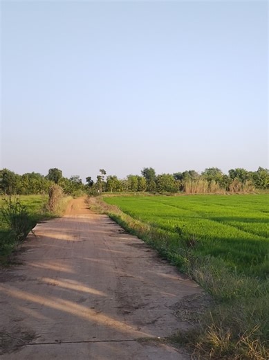 #สุดท้ายของปี #สวัสดีปีใหม่