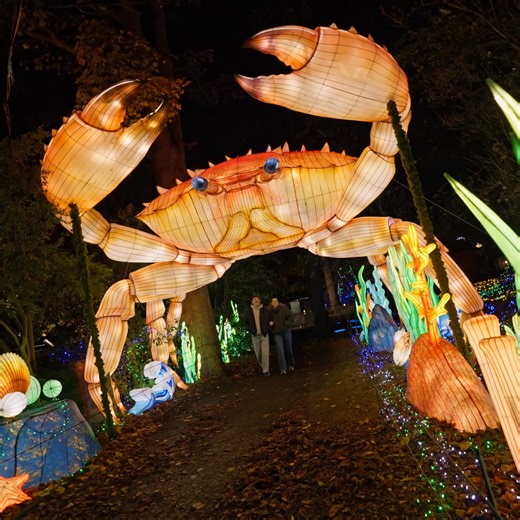 Tickets are now on sale for this winter's most magical light experience ✨ | Edinburgh Zoo