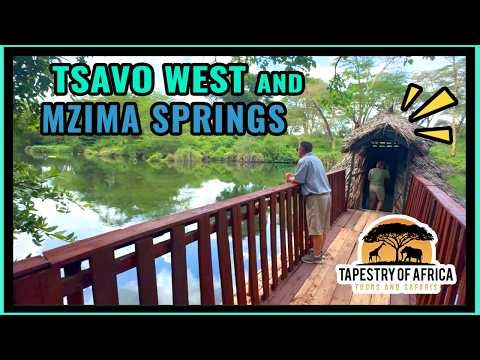 Tsavo West and Mzima Springs