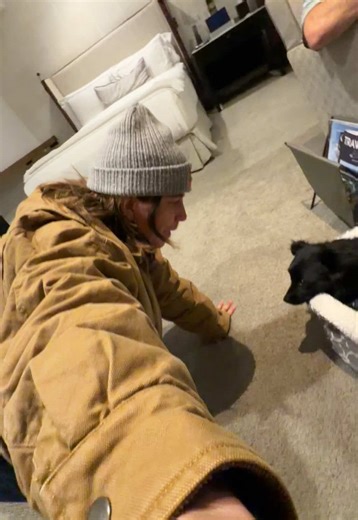 Pippy loves a fancy dog bed | dog