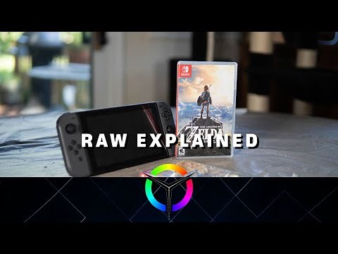What is RAW? - Video Tech Explained