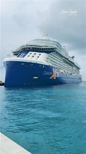 Cruise Hacks You NEED to Know 🚢 #CruiseTips #CruiseHacks #FirstTimeCruiser