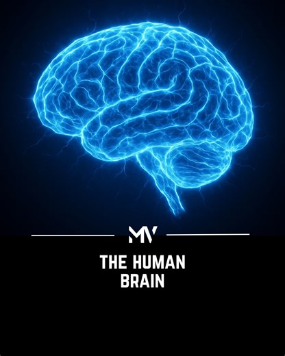 Gregg Braden explains how Tibetan monks have shattered the limits of what science once believed the human brain could achieve. Decades ago, researchers thought brainwave activity could only reach about 40 hertz but through deep states of meditation, monks have measured frequencies as high as 200 hertz, and even consciously slowed their brains to less than one cycle per second without losing awareness. Braden highlights how these findings reveal the extraordinary, untapped potential of human cons