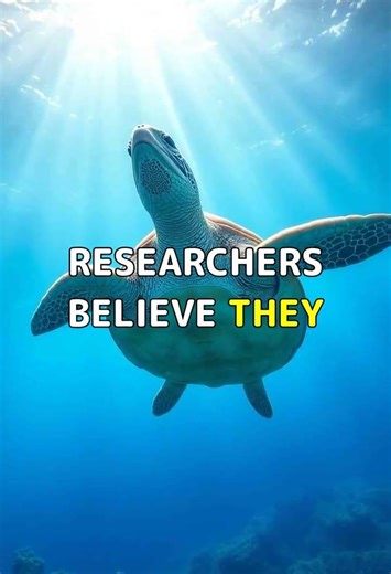 How Animals Use Magnetism to Navigate. #Shorts