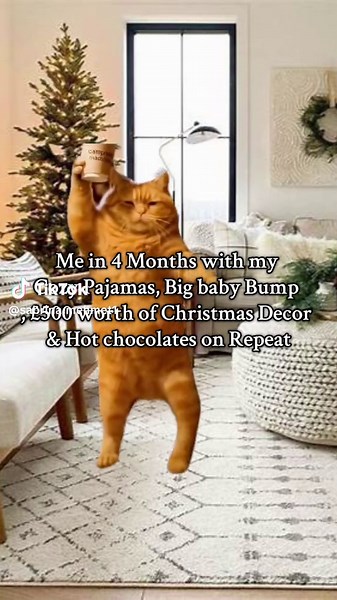 Exciting Pregnancy Announcement for Winter Baby