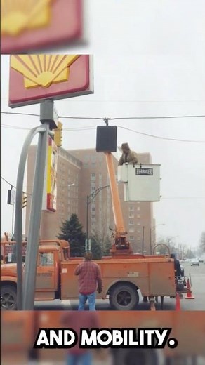 How Cameras Looked 150 Years Ago! 📸 | Vintage Photography Explained #vintagephotographs