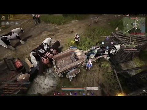 Black Desert Life: Handel-Guide für Anfänger!