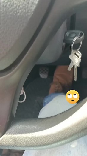 Car Windshield Cleaning Tips and Techniques