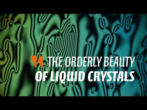 The orderly beauty of liquid crystals