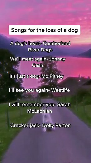 Heartfelt Songs for Losing a Beloved Dog