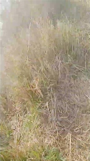 Realistic cinematic scene, evening time, abandoned factory outside the city.Bruce Banner working a