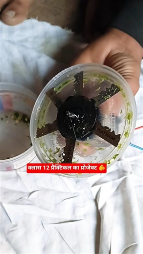 class 12 ka practical ka project . practical project 2026 #automobile #classiv #millionviews 🫵🥳🎉