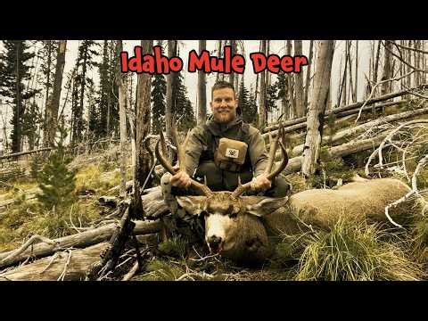 Idaho Mule Deer Hunt