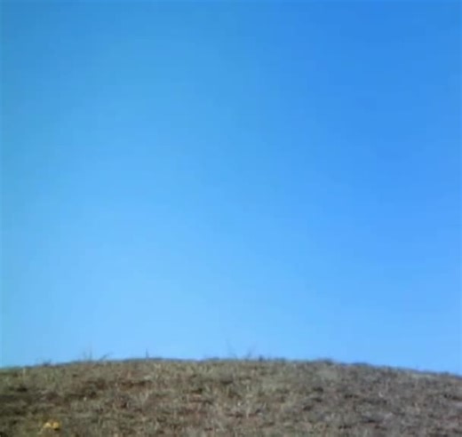 Hello! I’m pudding-Chan Ava posted a video about me! Sorry Ava isn’t here they found out she escaped and tried to run away she’s grounded she will come back just wait I promise if she doesn’t come I will make videos of me until ava-Chan comes back bye… #doll #fyp #creepy #avaishappy #dollcore #fypシ #fy #weird #weirdcore #creepydoll #kigurumi