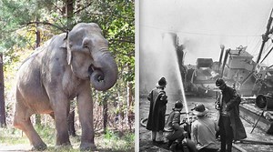 RIP SHIRLEY: Adored survivor of 1963 circus ship fire in Yarmouth dies at age 72