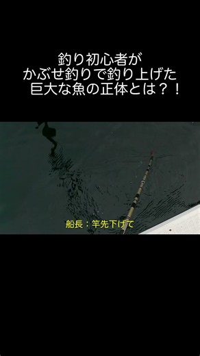 釣り初心者がかぶせ釣りで釣り上げた巨大な魚の正体とは？！ #釣り＃かぶせ釣り