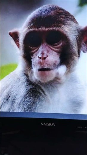 Computer stress test 4k