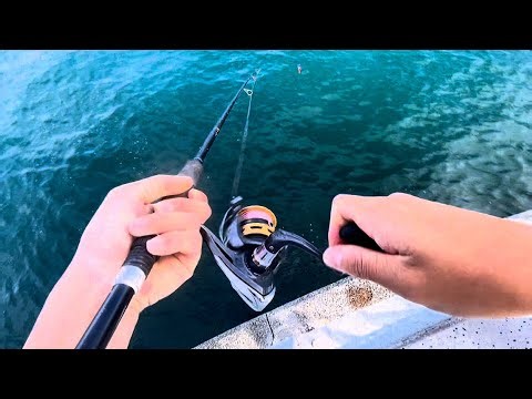 久しぶりの堤防釣りで海の恵みに感謝しました。