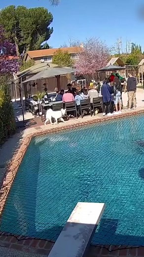 Waouh dog walk over water 💦😮😮😮 | GameGenial