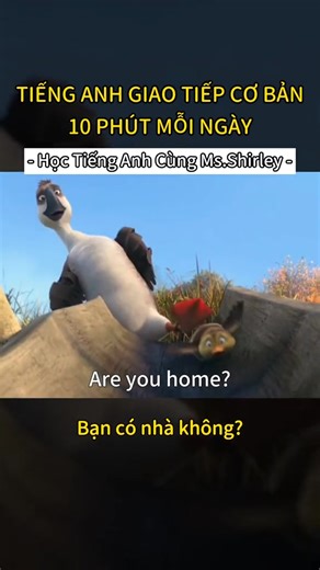 Tiếng anh giao tiếp cơ bản|10 phút mỗi ngày|Học tiếng anh cùng Ms.Shirley #hoctienganh | Học Tiếng Anh