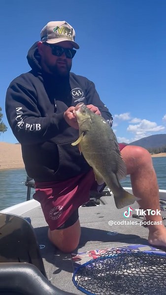 Catching Fish with Colour Shift Custom Jigheads