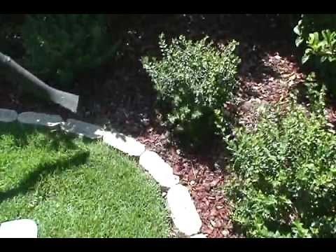 Rubber Mulch maintenance tips.