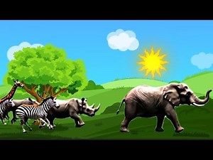 Animal stampede / Elephant stampede / Animals Stampede / Animals Running / jumanji stampede / Animal