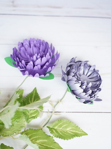 Paper Chrysanthemum Flower Template