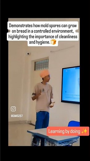 Demonstrates how mold spores can grow on bread..🍞