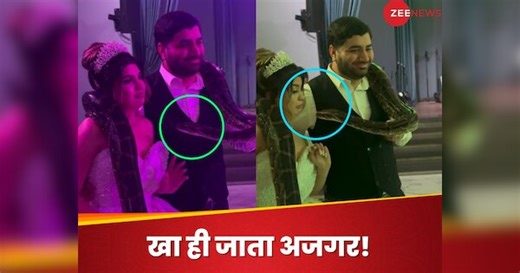 Viral Video : हे भगवान...अजगर को गले में लपेटकर करवाया फोटोशूट, तभी हुआ कुछ ऐसा कि....