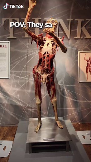 Exploring Real Bodies in Las Vegas: An Intriguing Exhibit