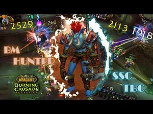 Beast Mastery Hunter DESTROYS SSC | Raid Guide | WoW TBC Classic Raid