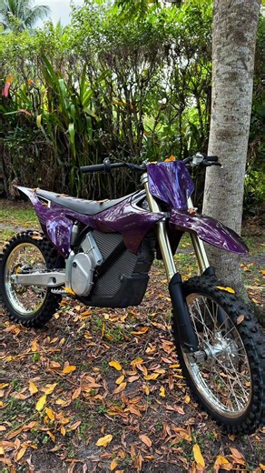 Stark Varg Speed Test: Chrome the World Challenge