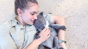 Koala Loves Belly Rub An orphaned koala has charmed millions worldwide by rushing to his zookeeper to receive a belly rub and cuddle. Little Harry is a charming koala joey who lost both of his parents after he was born. However, the resilient animal was saved by Symbio Wildlife Park in New South Wales, Australia, where he now lives full-time. He now treats his zookeeper Tami Wilson, who works at the wildlife park, as his caretaker. In the video, the tiny koala rushes to meet Tami as soon as he s