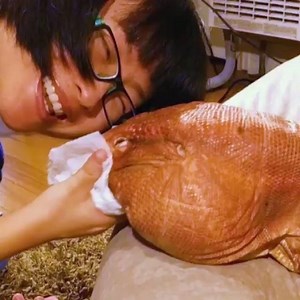 Beggars can't be choosers, but adorable dog-lizards can. | MacGyver the Lizard