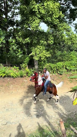 Festival Orgullo Criollo en Rancho Candela