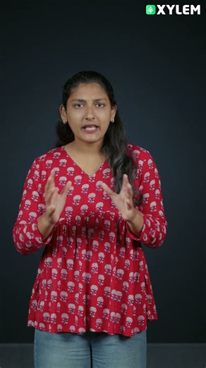 Plus One Economics: Liberalisation, Privatisation & Globalisation Part 2 live on tomorrow | Xylem