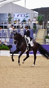 438 reactions · 30 shares | The FEI Grand Prix CDIW brought world-class performances to SIEC showcasing the precision, power, and elegance of top-level dressage. Jayden Brown and Willingapark Quincy B took the lead, with outstanding riding across the class from start to finish  | Australian Dressage Championships | Facebook