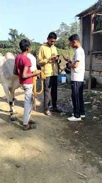 telling random strangers to prank call #funny #prank #prankcall #dare