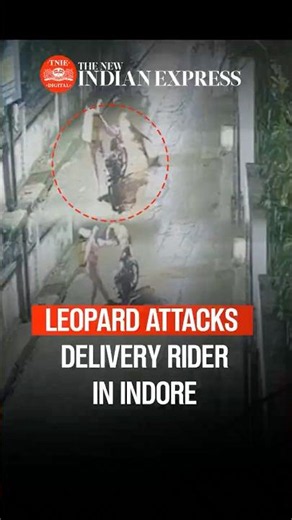 Leopard attacks delivery boy in Indore, CCTV captures chilling moment