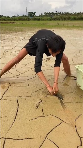 Black cobra🪱🪱 |New ViralGadgets, Smart Appliances, Kitchen Utensils🤯😱 #shorts