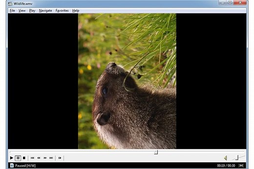 How Do I Rotate in Media Player Classic? | Techwalla