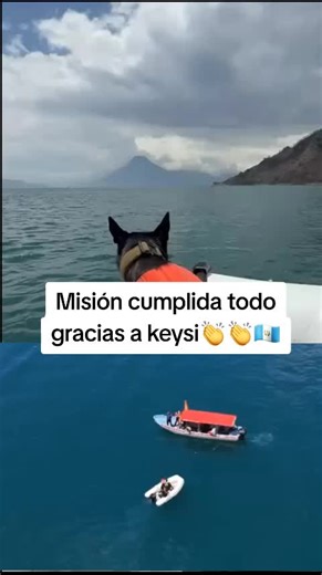 Migue GT 502🇬🇹 (@miguel.pablo864)’s video of keysi fighting method