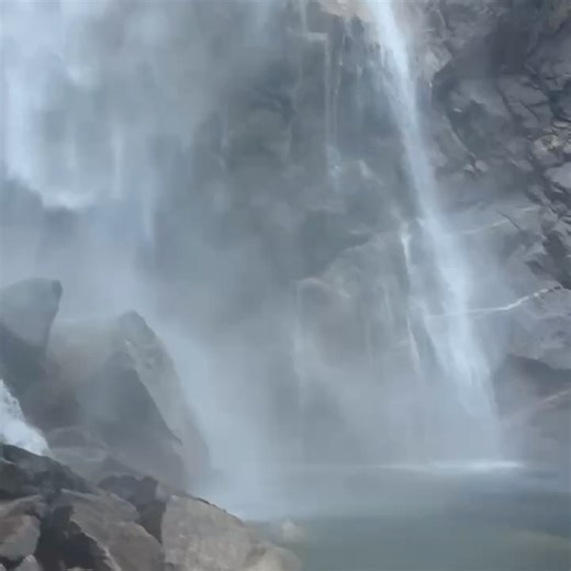 Guava Juice on Reels